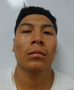 Gerardo Alamillamadrigal Arrest Mugshot