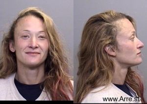 Heather Silvey Arrest Mugshot