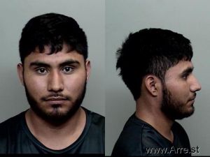 Hector Ruiz Arrest Mugshot