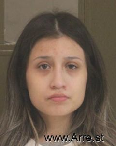 Jesselle Lopez Mendoza Arrest Mugshot