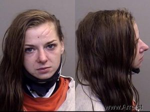 Jessica Craft Arrest Mugshot