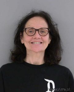 Lisa Young Arrest