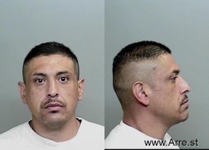 Luis Ortiz Arrest Mugshot