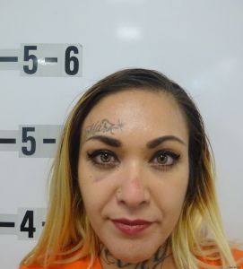 Madeline Farfan Arrest Mugshot