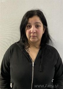 Mariana Morenomartinez Arrest Mugshot