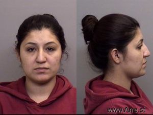 Maria Medina Arrest Mugshot