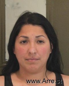 Maricela Figueroa Arrest Mugshot