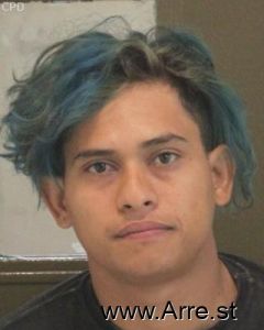 Nelson Hernandezaniriba Arrest Mugshot