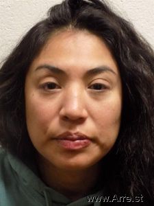 Nubia Ortiz Arrest Mugshot