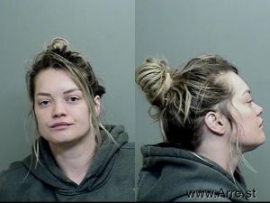 Sarah Schmitz Arrest Mugshot