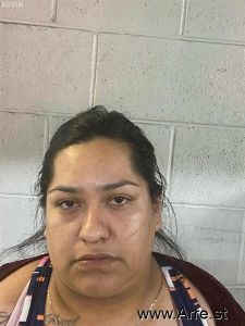 Virginia Pizarro Arrest Mugshot