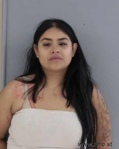 Vanessa Aguilera Arrest Mugshot