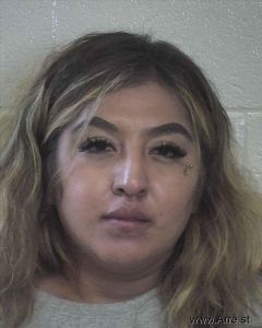 Vanessa Aguirre Arrest Mugshot