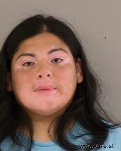 Viviana Fernandez Arrest Mugshot