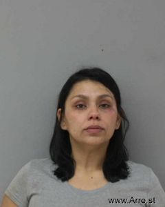 Yesenia Toledo Arrest