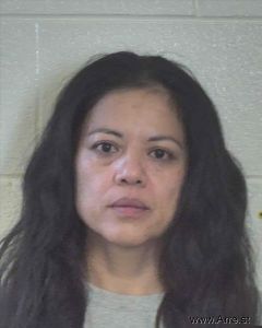 Yolanda Villegas Arrest Mugshot