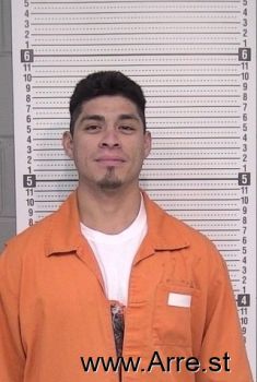 Adrian E Perez Mugshot