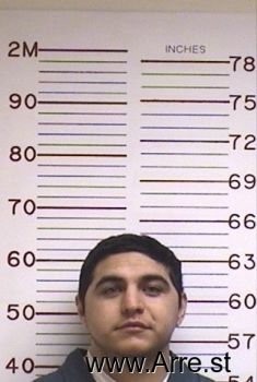 Alejandro  Gutierreznieblas Mugshot