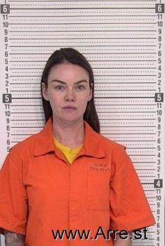 Allison M Taylor Mugshot