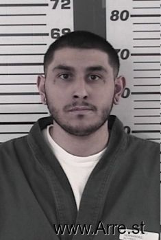 Alvaro  Hernandez Mugshot