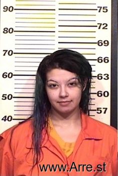 Amanda P Becker Mugshot