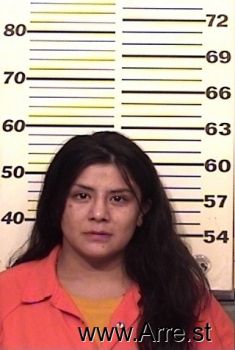 Amanda  Chavez Mugshot