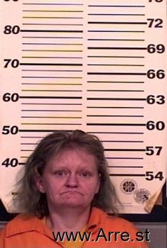 Amanda K Larkins Mugshot