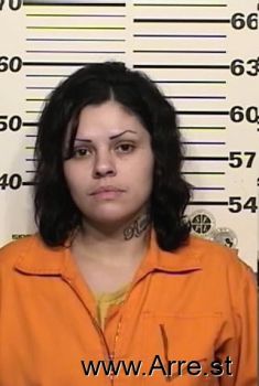 Amanda R Rios Mugshot