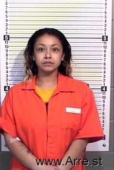 Amanda M Vigil Mugshot