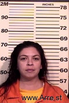 Antonette L Martinez Mugshot