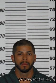 Armando  Gonzalezcastillo Mugshot