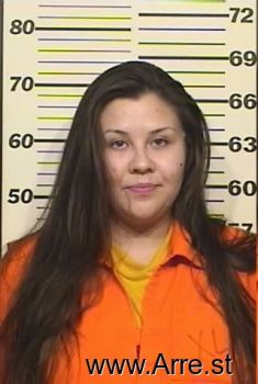 Ashley  Chavez Mugshot