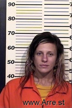 Brandy L Ryan Mugshot