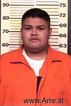 Bryan  Martinezdelatorre Mugshot