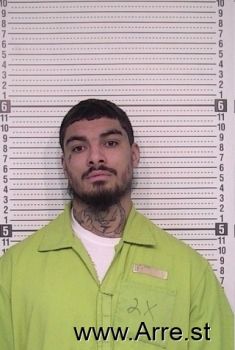 Carlos I Mendoza Mugshot