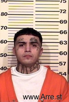 Charles D Martinez Mugshot