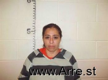 Cherie  Andrade Mugshot