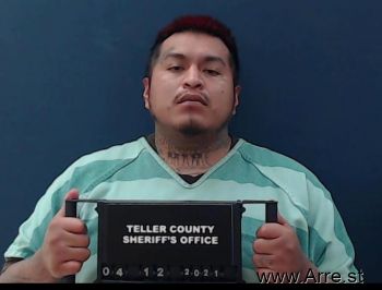 Carlos Lee Collins Mugshot