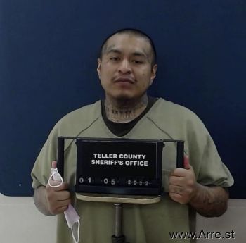 Carlos Lee Collins Mugshot