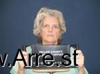 Carolyn Sansbury Negilski Mugshot