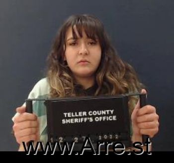 Casey Elise White Mugshot