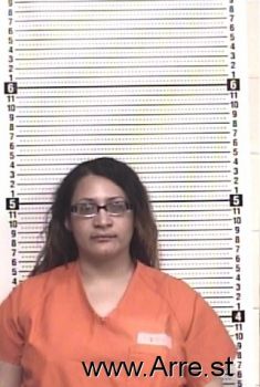 Danielle M Sanchez Mugshot