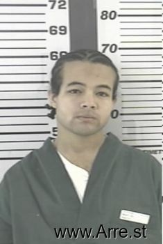 David A Martin Mugshot