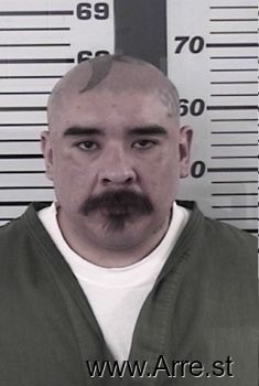 David A Perezgarcia Mugshot