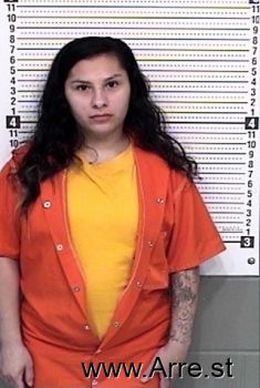 Destiny N Gallegos Mugshot