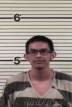 Devan  Martinez Mugshot