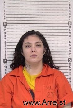 Elizabeth M Herrera Mugshot