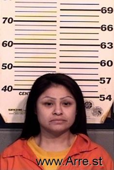 Erika P Lopez Mugshot