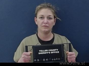 Emily Anne Hendrickson Mugshot