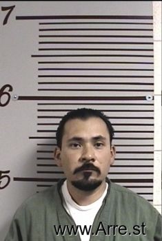 Fabian  Castillotrejo Mugshot